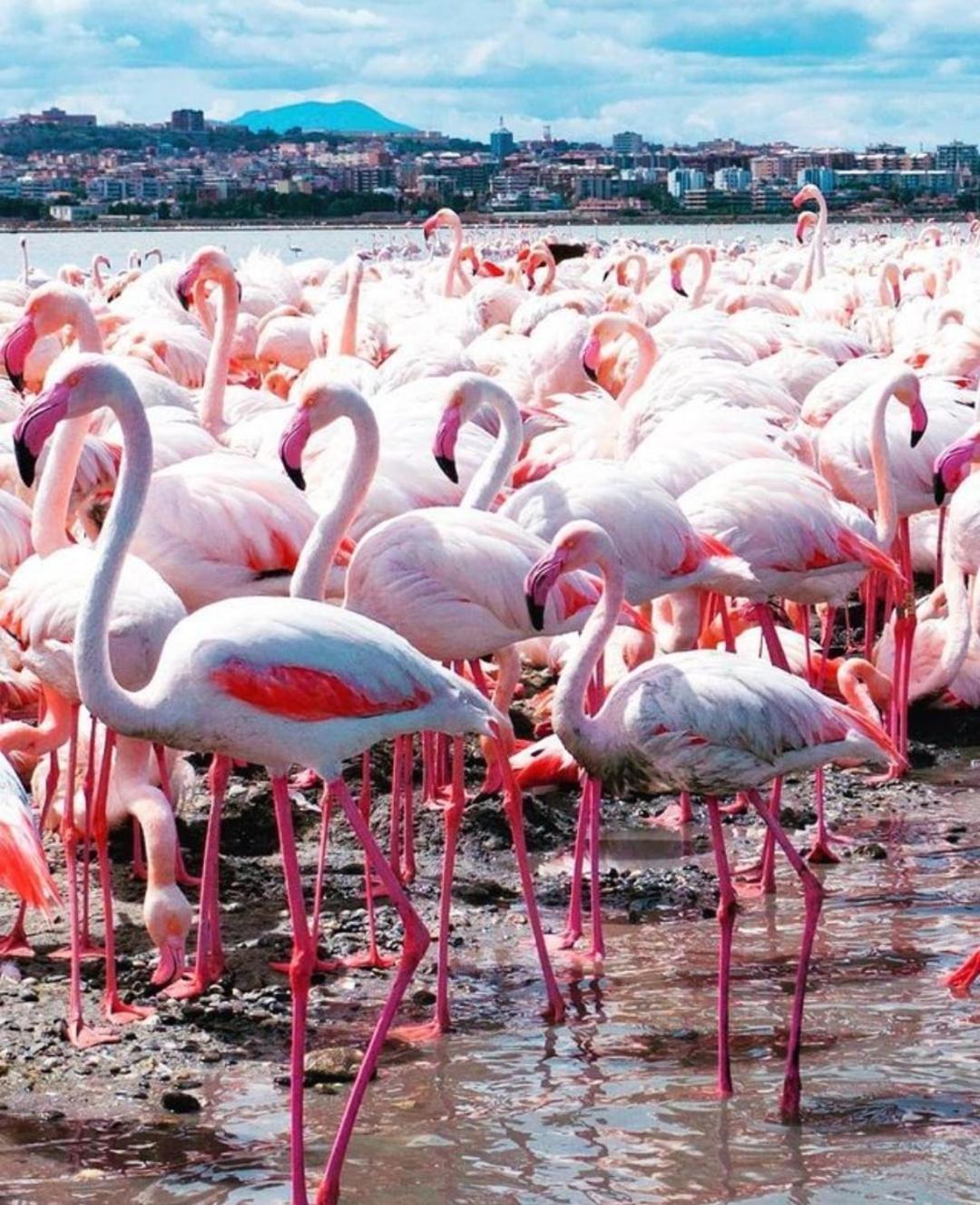 Отель Gala Sardinia Кальяри Экстерьер фото